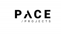 Pace Projects Ltd