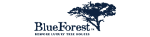 Blue Forest