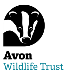 Avon Wildlife Trust