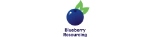 Blueberry Resourcing